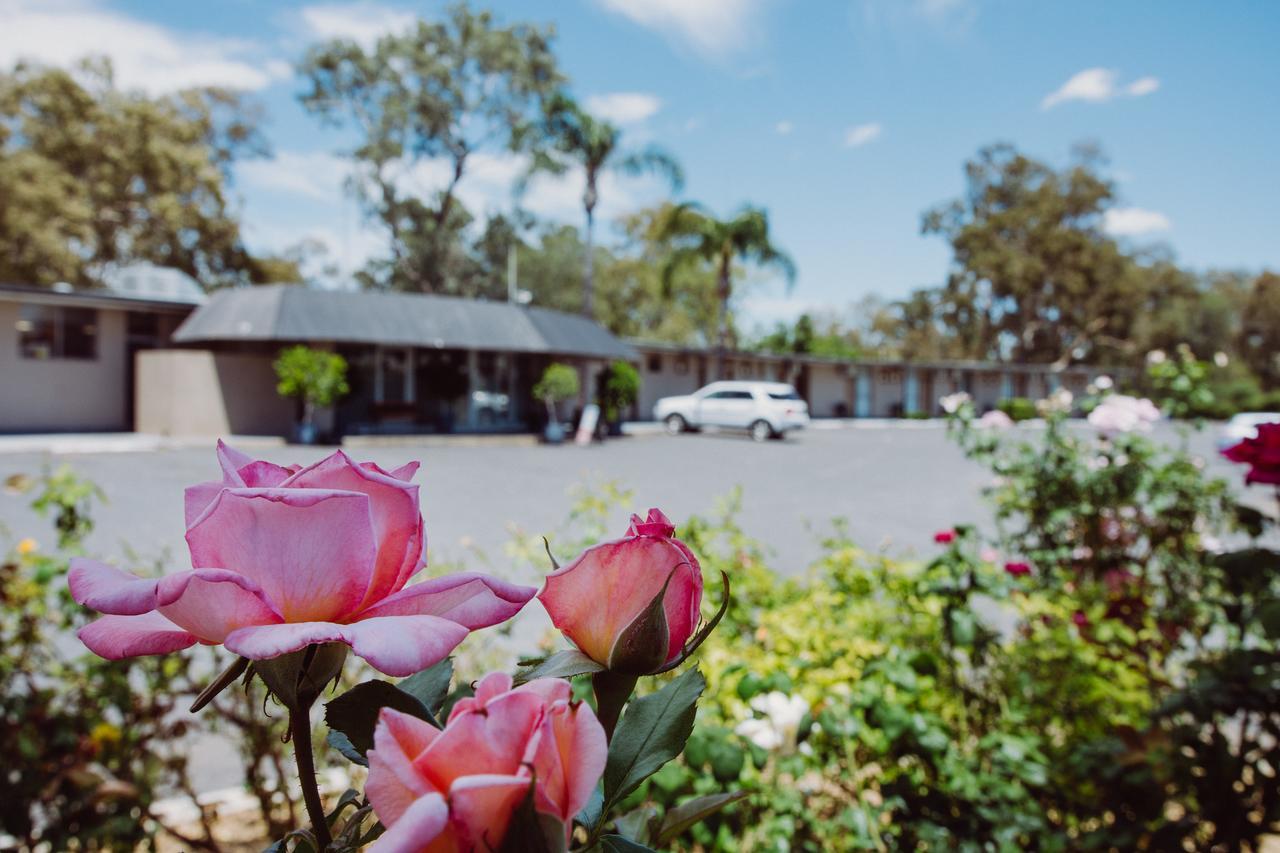 Artesian Spa Motel Moree Exterior foto